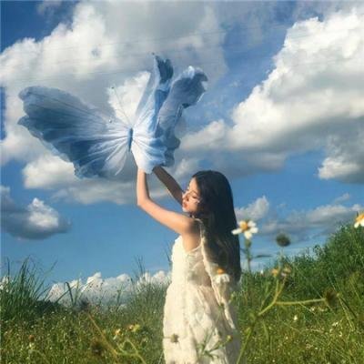 观鸟者
